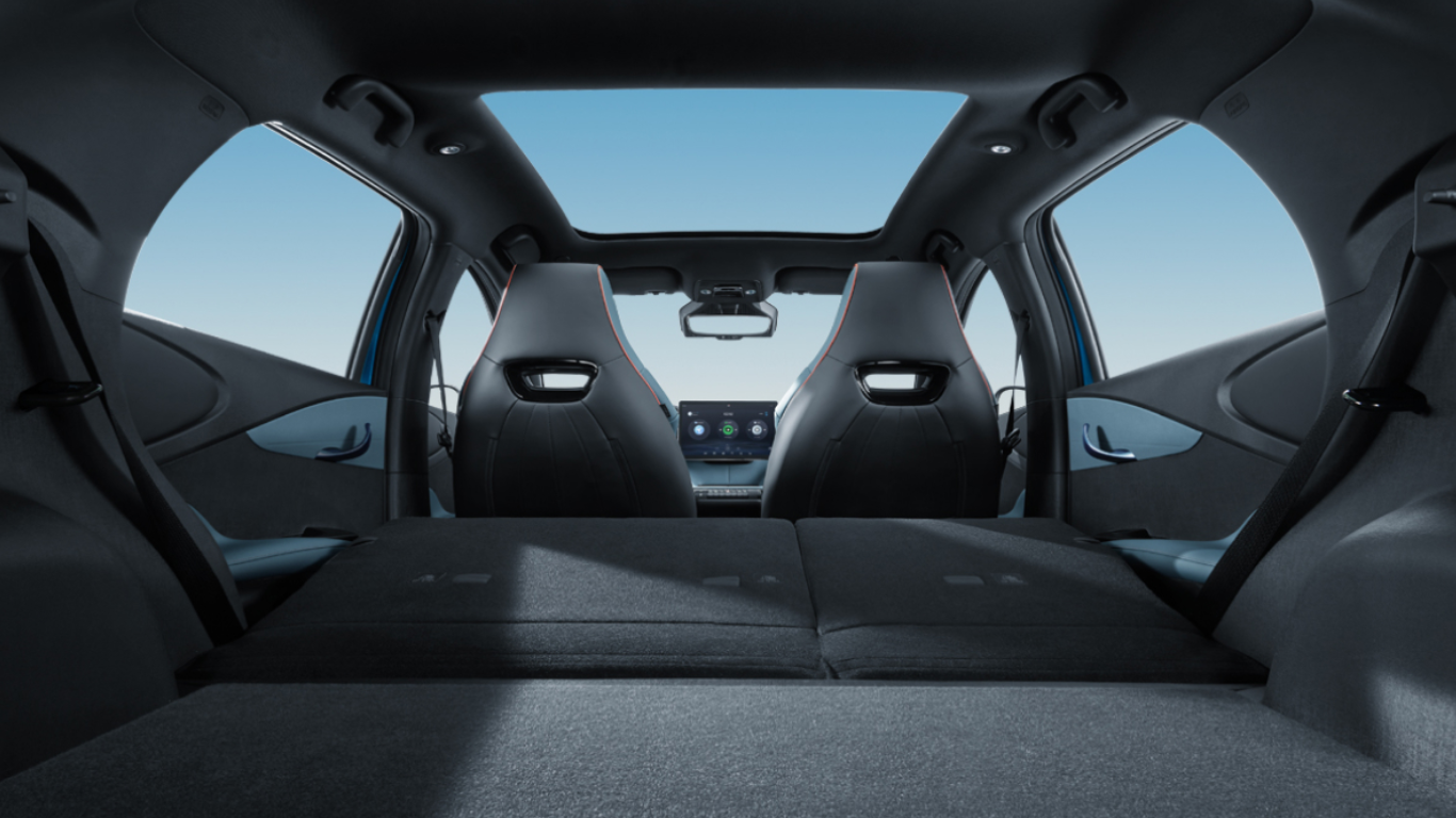 BYD Dolphin Interior View