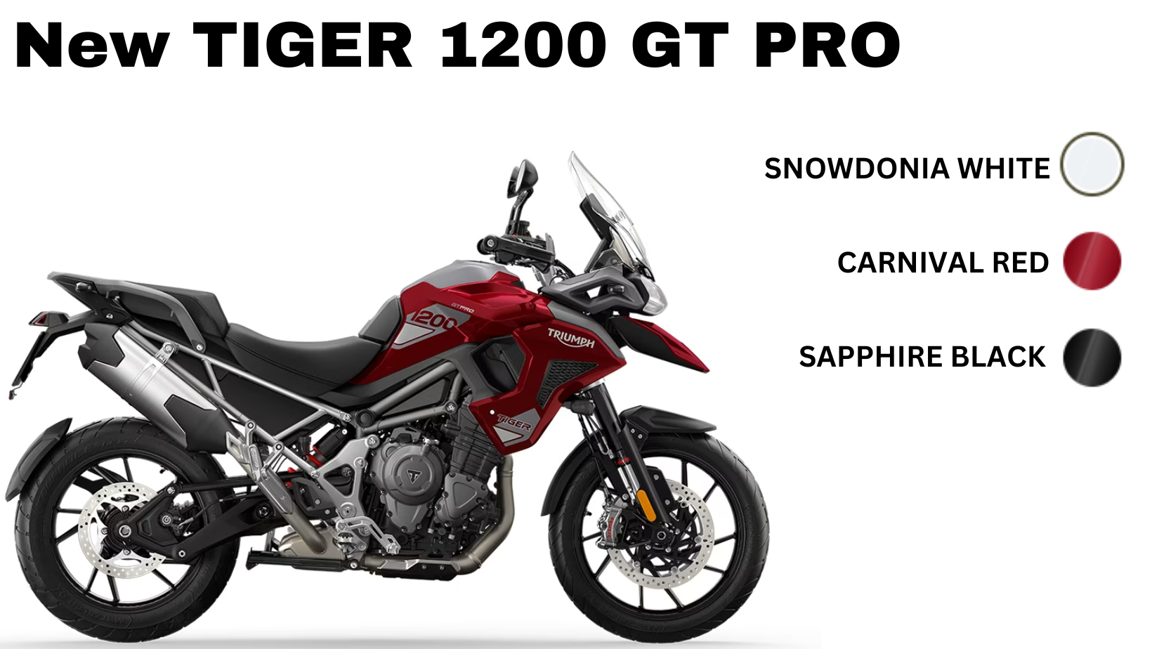 New TIGER 1200 GT PRO .png