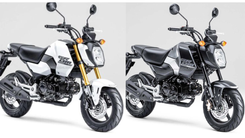 2024 Honda Grom 125 Debut in Japan | Fresh Look & Upgraded Accessories