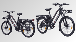Hero Lectro Muv-e E-Delivery Bike