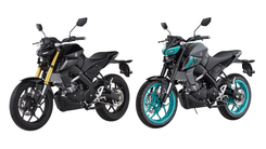 Yamaha MT 15 V2 - in Matt Black and Metallic Gray color