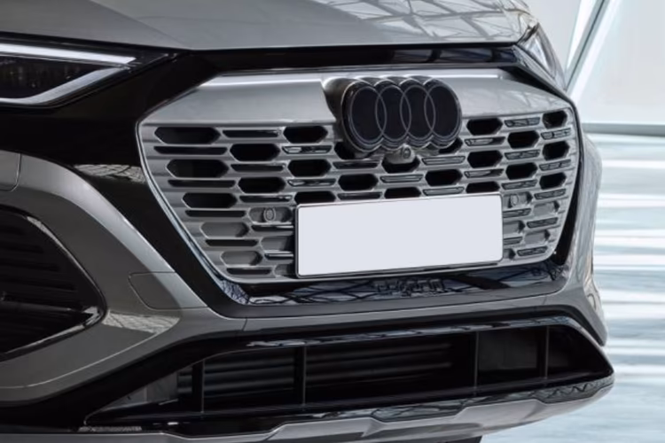 Audi Q8 e-tron Grille Audi Q8 e-tron Grille