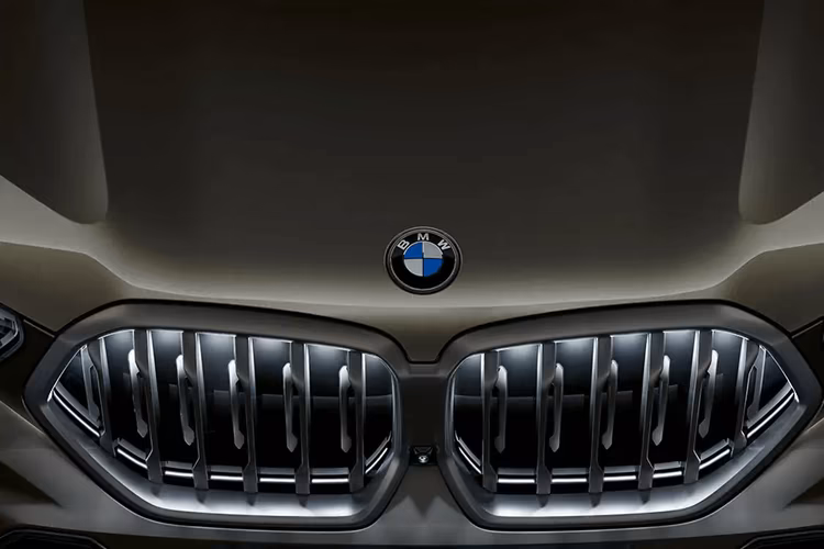 BMW X6 Grille