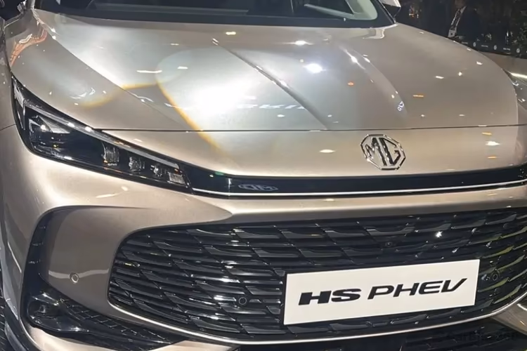 MG HS PHEV Grille MG HS PHEV Grille