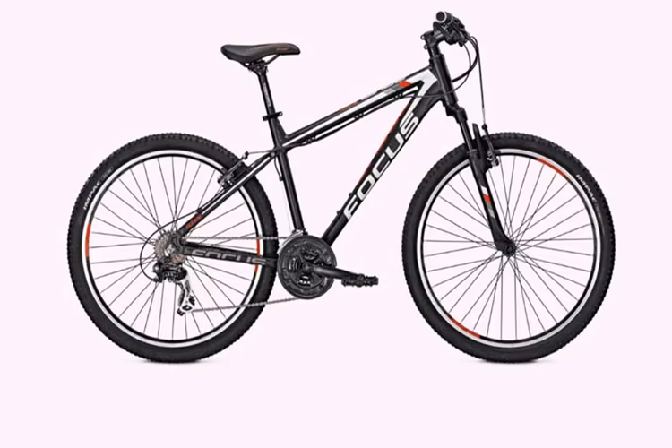 Focus Raven Rookie 1.0 26