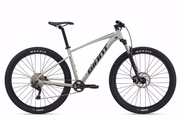Giant Talon 29 1(2021) Giant Talon 29 1(2021)