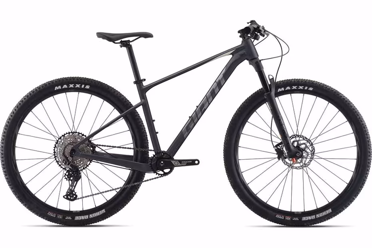जायंट XTC SLR 29 2 (2021) जायंट XTC SLR 29 2 (2021)
