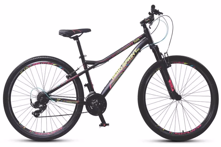 हीरो JOPLIN 27.5T (21 SPD)