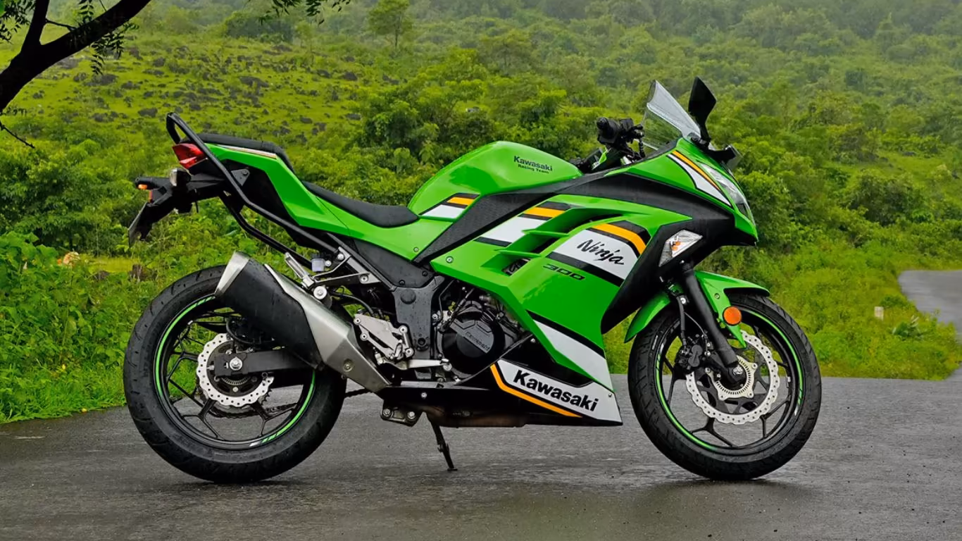 Kawasaki Ninja 300 Design